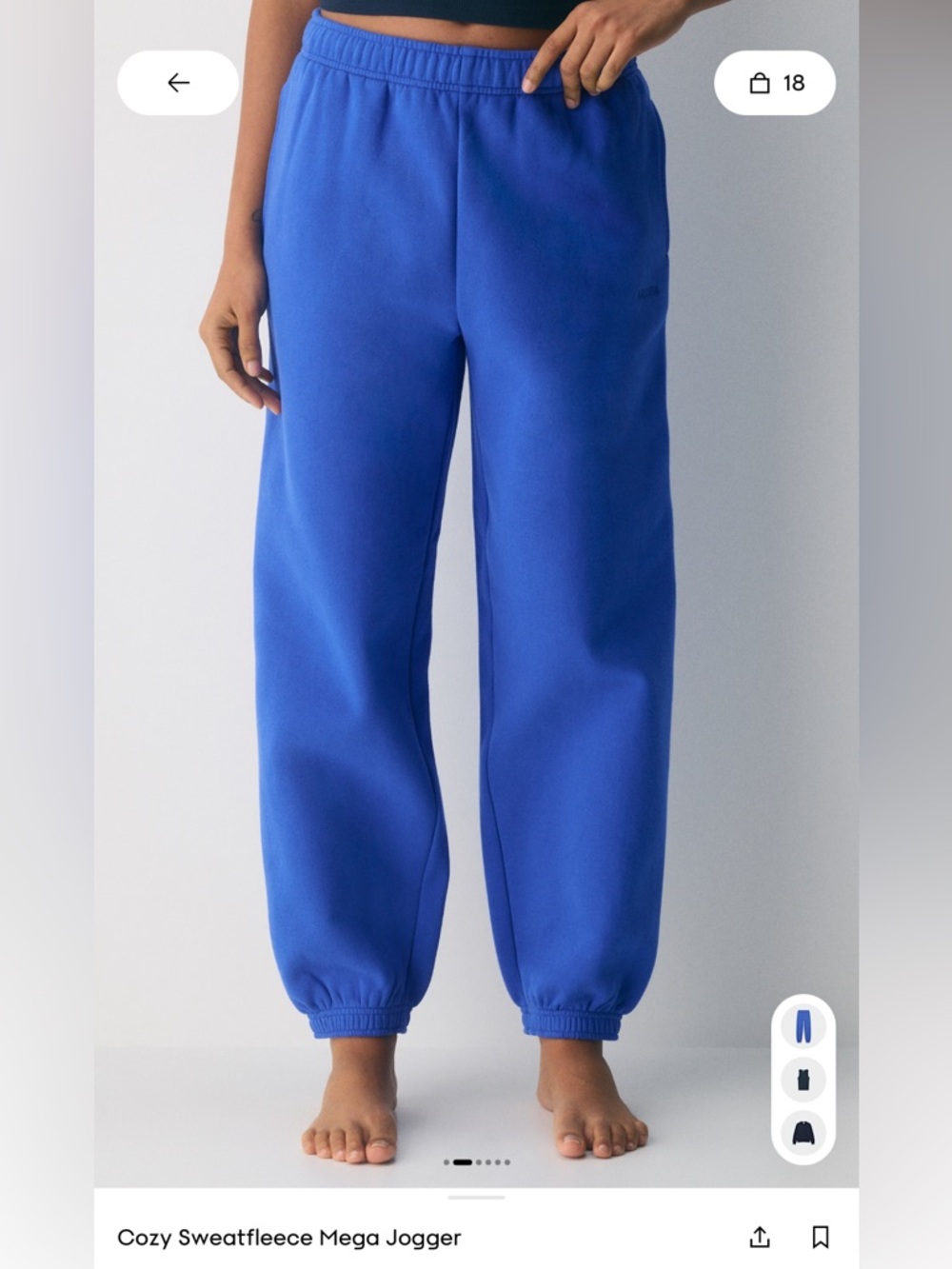 Aritzia Mega Sweatfleece Joggers